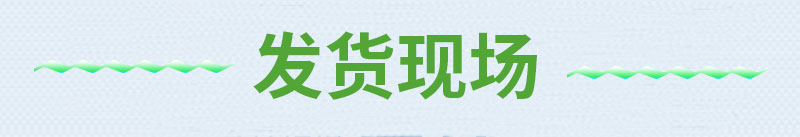 格子12.jpg 格子12.jpg