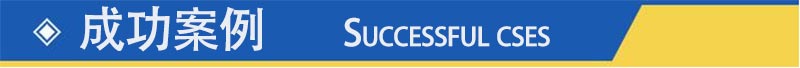 成功案例